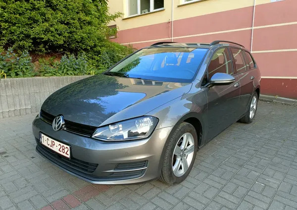 brześć kujawski Volkswagen Golf cena 35500 przebieg: 200000, rok produkcji 2014 z Brześć Kujawski